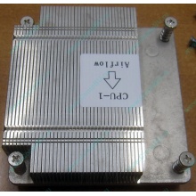 Радиатор CPU CX2WM для Dell PowerEdge C1100 CN-0CX2WM CPU Cooling Heatsink (Элиста)