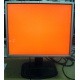 Монитор 19" TFT HP 1955 (DVI в Элисте, USB-хаб) "квадратный" (Элиста)