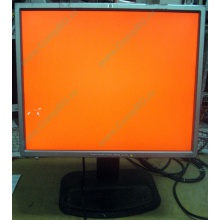 Монитор 19" TFT HP 1955 (DVI в Элисте, USB-хаб) "квадратный" (Элиста)