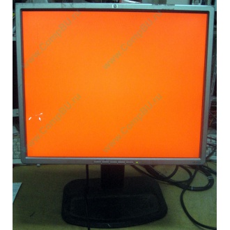 Монитор 19" TFT HP 1955 (DVI в Элисте, USB-хаб) "квадратный" (Элиста)