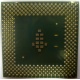 Процессор Intel Celeron 1000A SL5ZF (1000MHz /256kb /100MHz /1.475 V) s370 (Элиста)