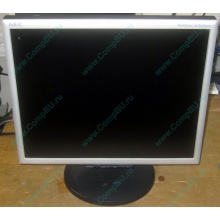 Монитор 17" TFT Nec MultiSync LCD 1770NX (Элиста)