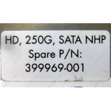 HP 250G 7.2k 432337-001/ 399699-001 / 397377-004 SATA HDD (Элиста)