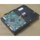 Жесткий диск HP 250Gb 7200 rpm 432337-001/ 399699-001 / 397377-004 (Элиста)
