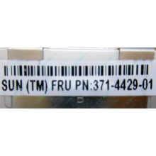 Серверная память SUN (FRU PN 371-4429-01) 4096Mb (4Gb) DDR3 ECC в Элисте, память для сервера SUN FRU P/N 371-4429-01 (Элиста)