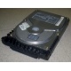 Жесткий диск 18.4Gb Quantum Atlas 10K III U160 SCSI (Элиста)