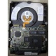 Жесткий диск 18.2Gb IBM Ultrastar DDYS-T18350 Ultra3 SCSI (Элиста)