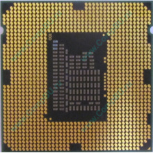 Процессор Intel Celeron G540 (2x2.5GHz /L3 2048kb) SR05J s.1155 (Элиста)