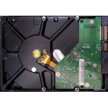 Б/У жёсткий диск 1Tb Western Digital WD10EVVS Green (WD AV-GP 1000 GB) 5400 rpm SATA (Элиста)