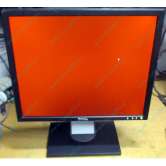 Dell E197F P в Элисте, монитор 19" TFT Dell E197FPb (Элиста)