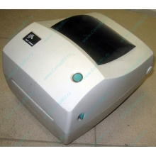Глючный термопринтер Zebra TLP 2844 в Элисте, принтер Zebra TLP2844 с глюком (Элиста)