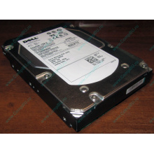 Жесткий диск 300Gb 15k Dell 9CH066-050 6G SAS (Seagate Cheetach ST3300656SS 15K.6) - Элиста