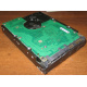 Жесткий диск 300Gb 15k Seagate Cheetach ST3300656SS 15K.6 Dell 9CH066-050 6G SAS (Элиста)