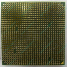 Процессор AMD Sempron 3000+ (1.6GHz) SDA3000IAA3CN s.AM2 (Элиста)